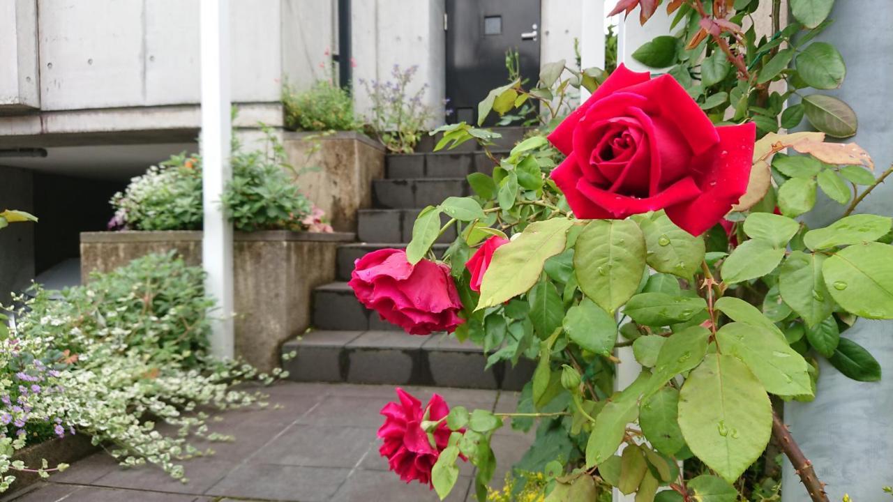 Aoi Guest House 京都市 エクステリア 写真